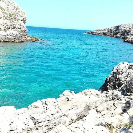 مزرعة للإقامة Masseria Vignenove *