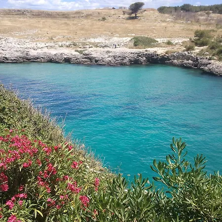 Masseria Vignenove