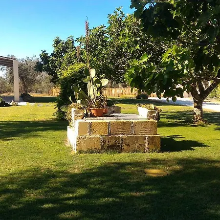 مزرعة للإقامة Masseria Vignenove