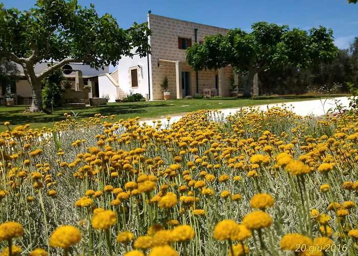 Masseria Vignenove Uggiano La Chiesa