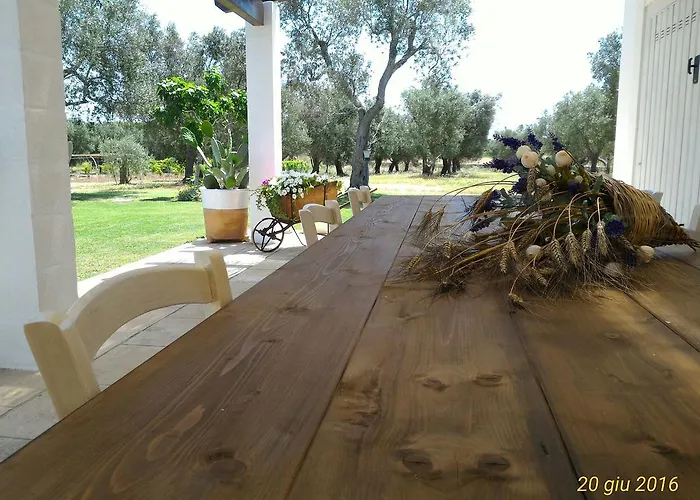Masseria Vignenove
