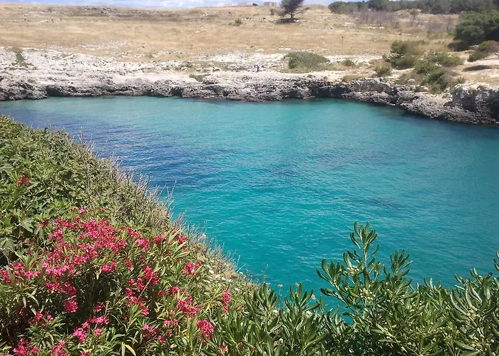 Masseria Vignenove