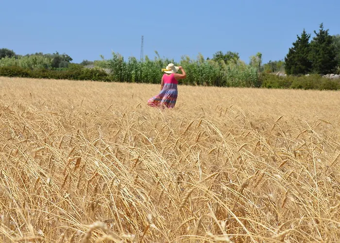 Alloggio per agriturismo Masseria Vignenove *