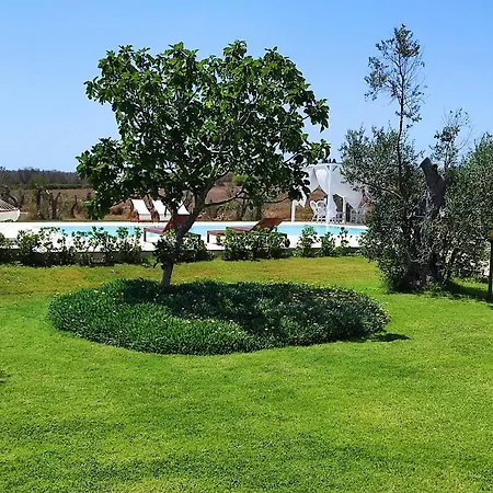 Masseria Vignenove Farm stay