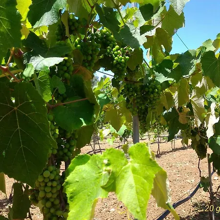 Farmház Masseria Vignenove Uggiano la Chiesa