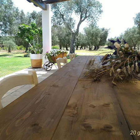 Masseria Vignenove