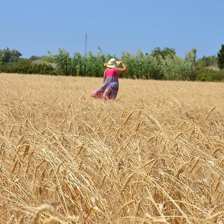 Farm stay Masseria Vignenove *